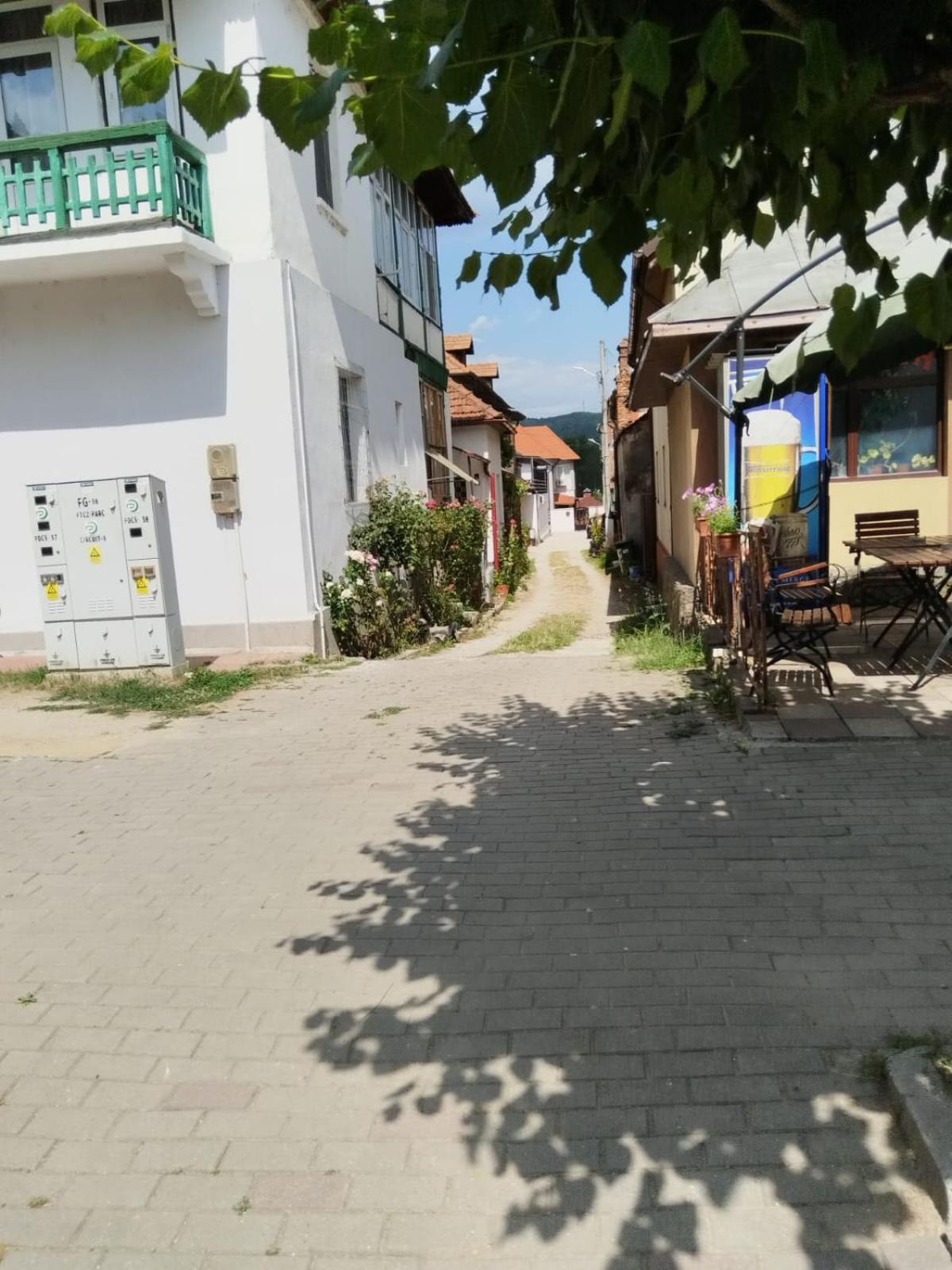 Urbanist Guest House Călimăneşti 외부 사진